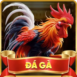 Cá cược Đá gà Nohu65